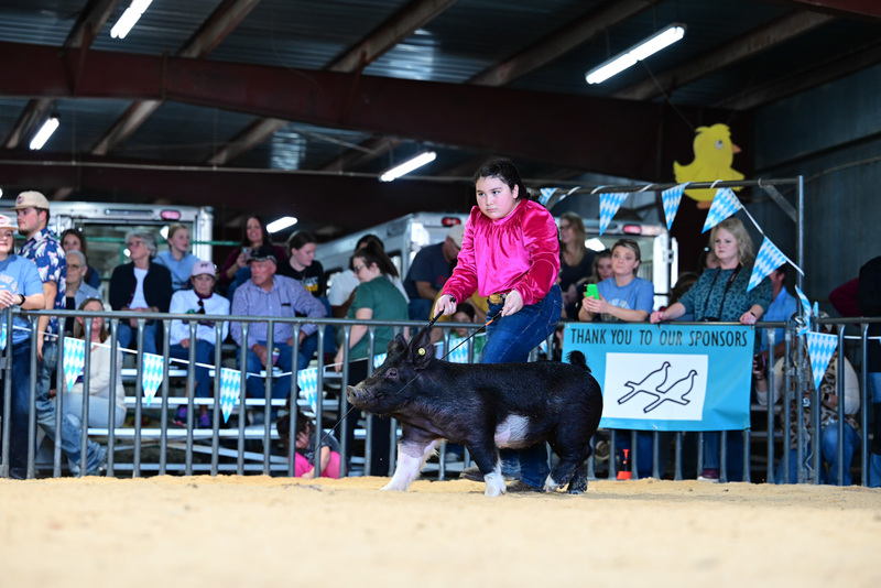 25GTT- RingAHamps-5093.jpg