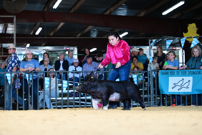 25GTT- RingAHamps-5094.jpg