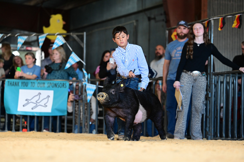 25GTT- RingAHamps-5097.jpg