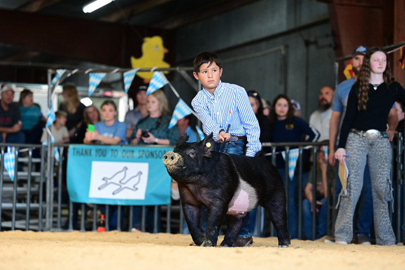 25GTT- RingAHamps-5098.jpg