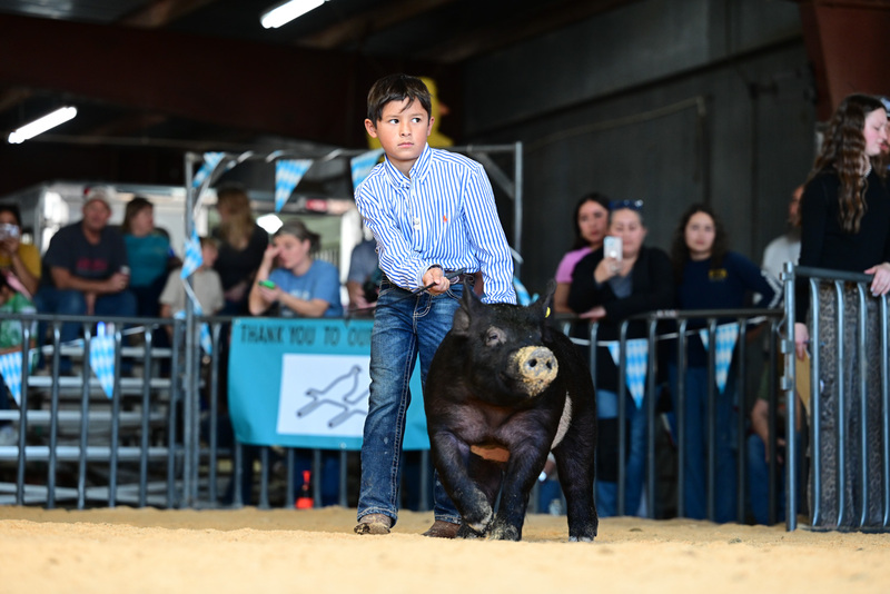 25GTT- RingAHamps-5099.jpg