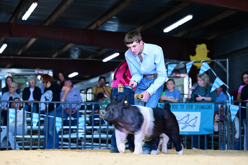 25GTT- RingAHamps-5100.jpg