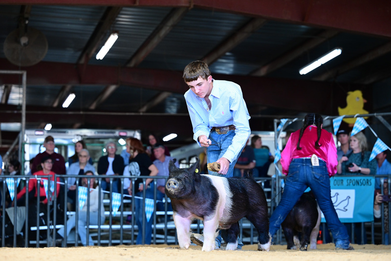 25GTT- RingAHamps-5101.jpg