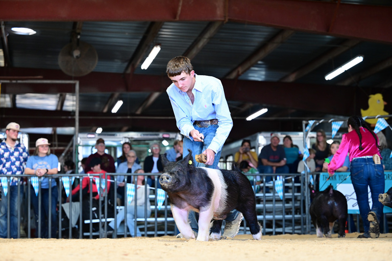 25GTT- RingAHamps-5102.jpg