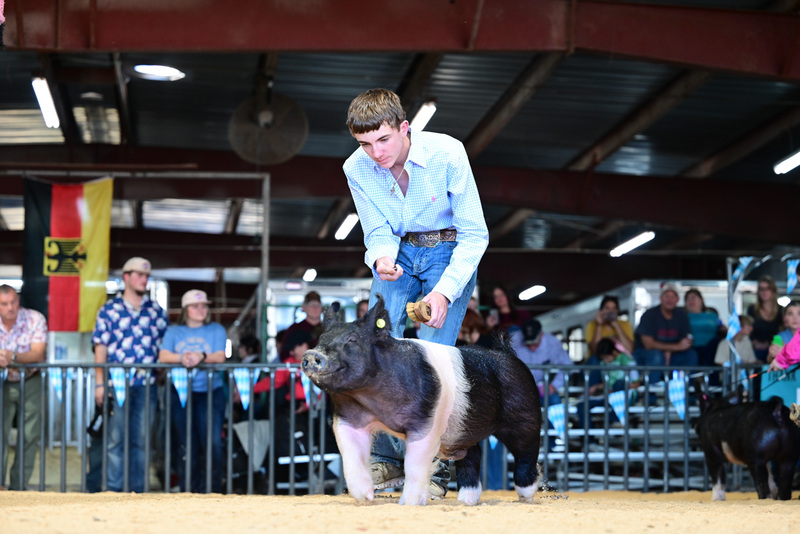 25GTT- RingAHamps-5103.jpg