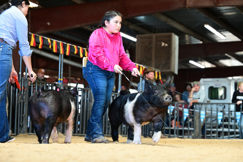 25GTT- RingAHamps-5107.jpg