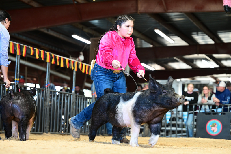 25GTT- RingAHamps-5108.jpg