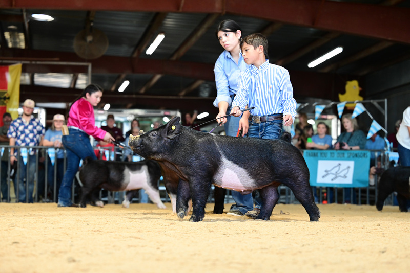 25GTT- RingAHamps-5113.jpg