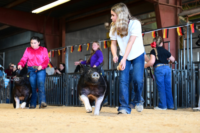 25GTT- RingAHamps-5114.jpg