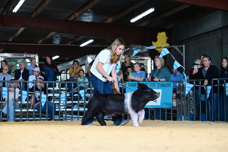 25GTT- RingAHamps-5115.jpg