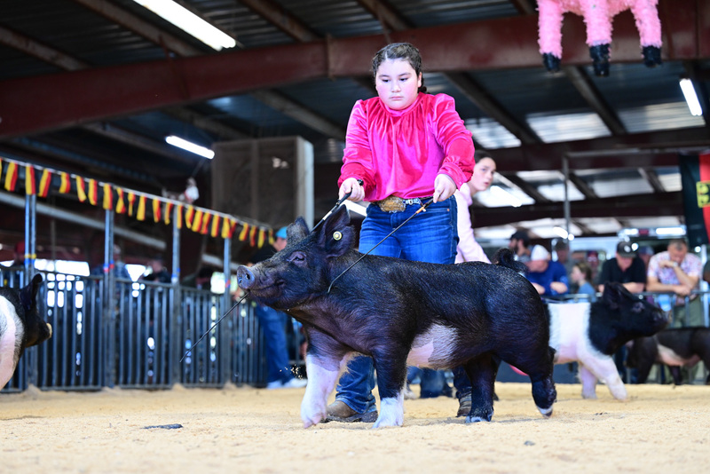 25GTT- RingAHamps-5120.jpg