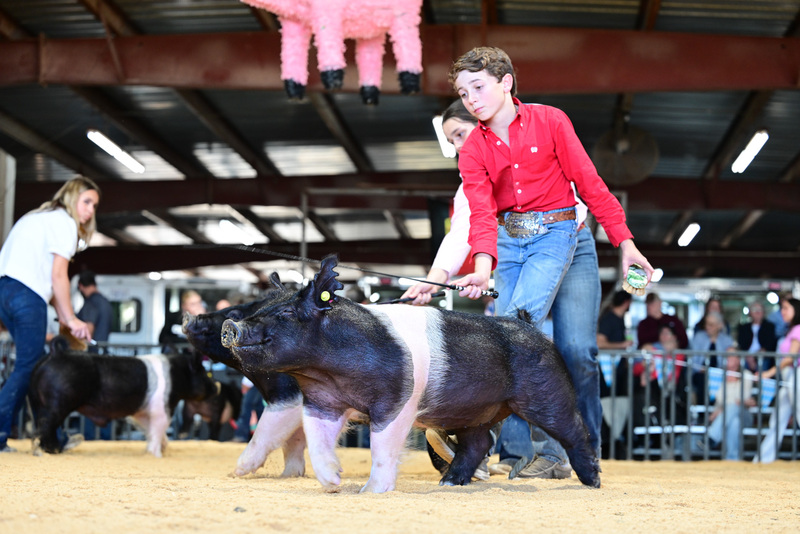 25GTT- RingAHamps-5121.jpg