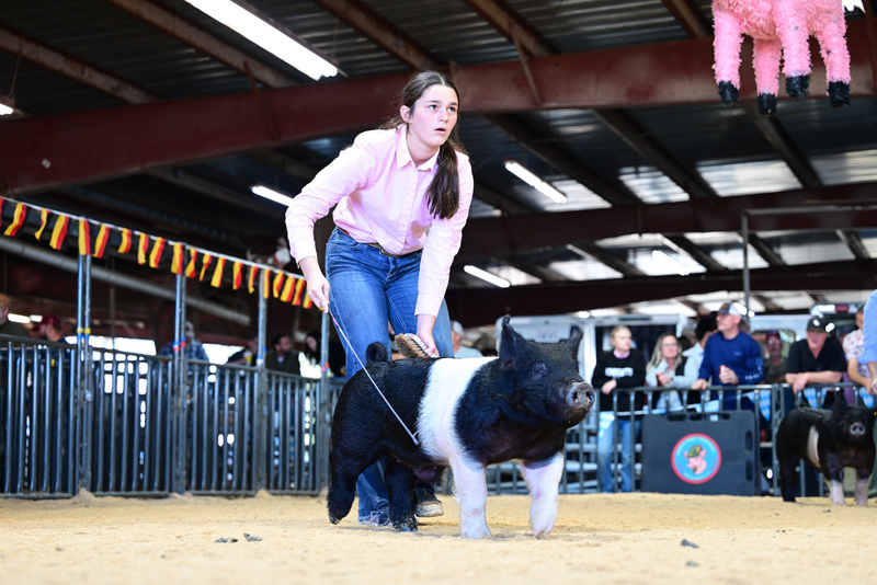 25GTT- RingAHamps-5124.jpg