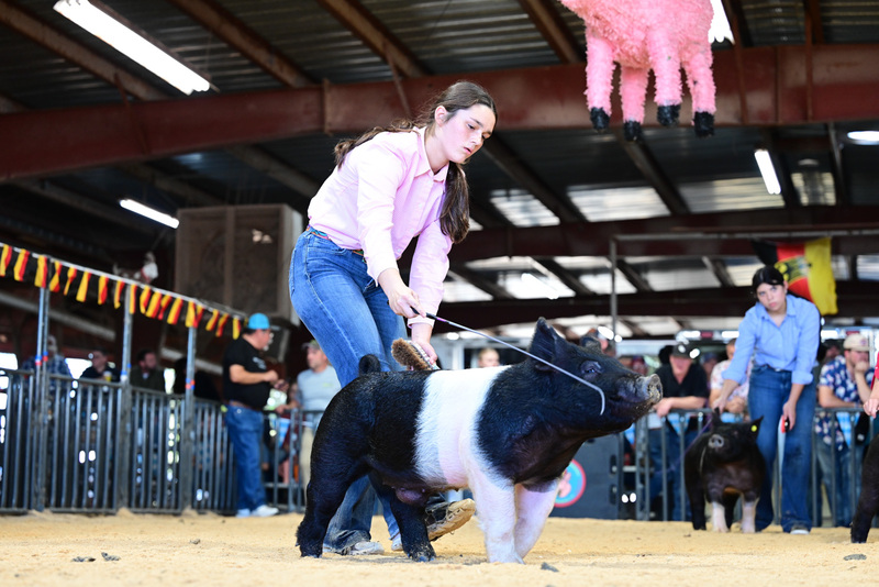 25GTT- RingAHamps-5125.jpg