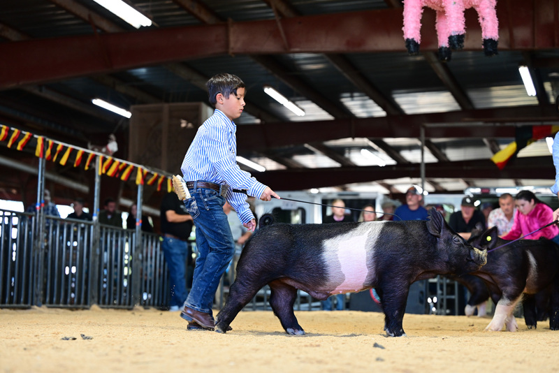 25GTT- RingAHamps-5126.jpg