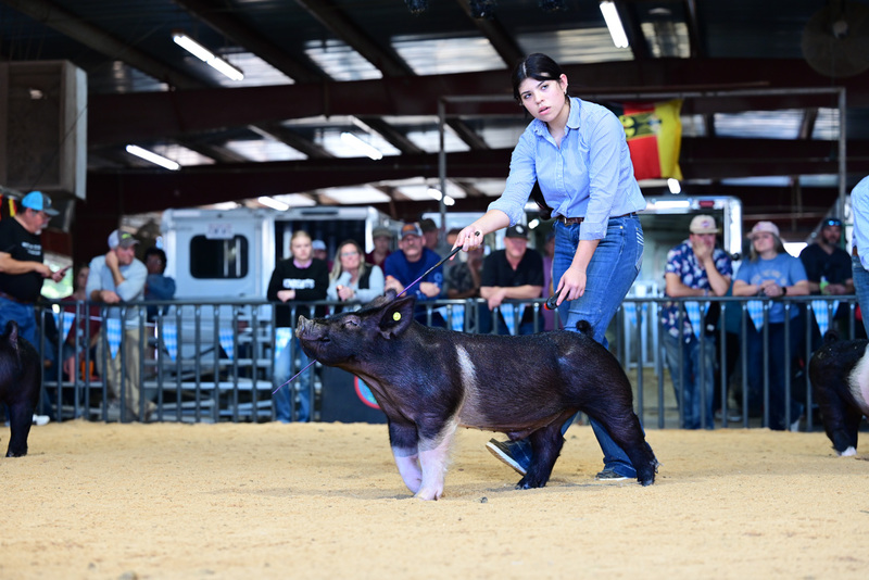 25GTT- RingAHamps-5129.jpg