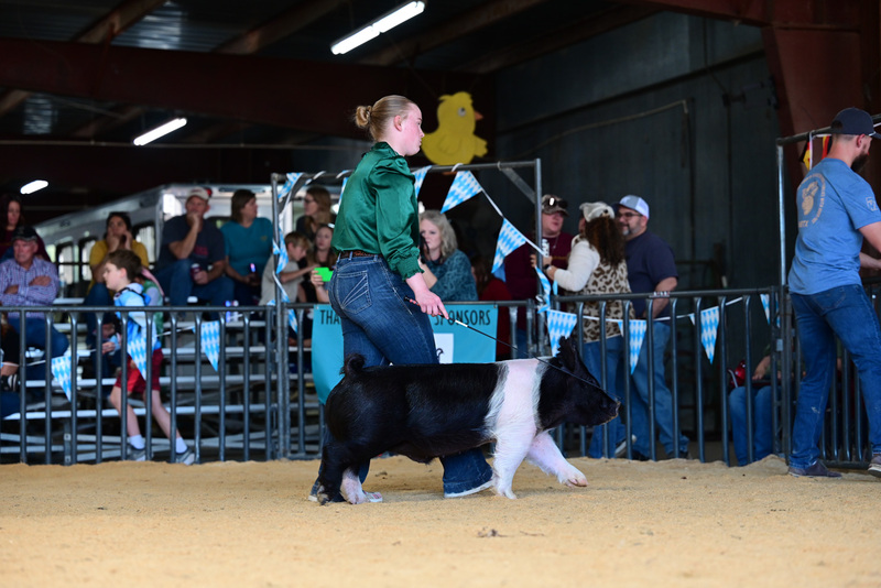 25GTT- RingAHamps-5131.jpg