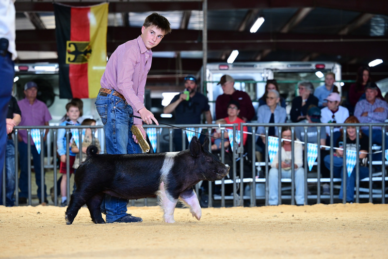 25GTT- RingAHamps-5132.jpg