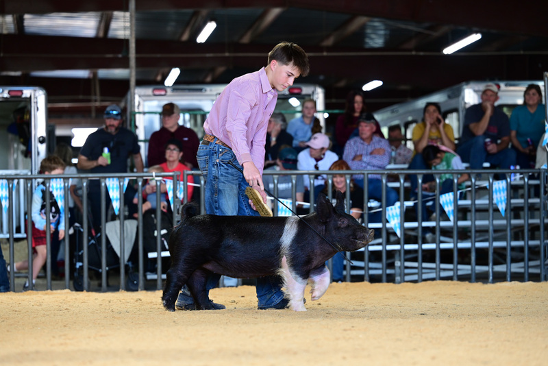 25GTT- RingAHamps-5133.jpg