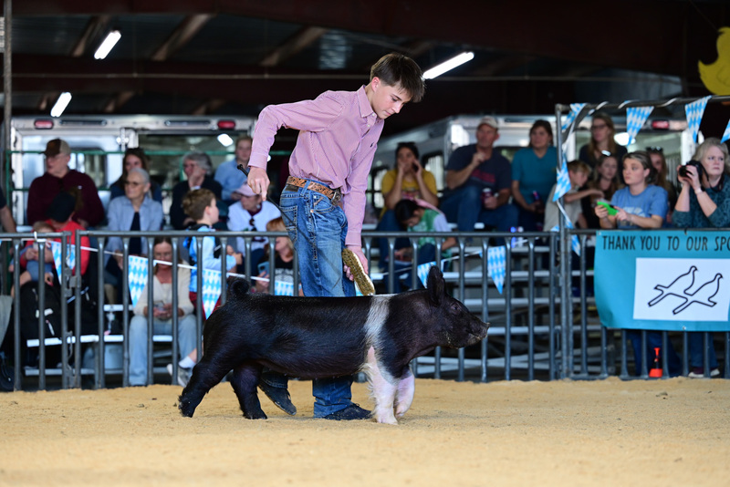 25GTT- RingAHamps-5134.jpg