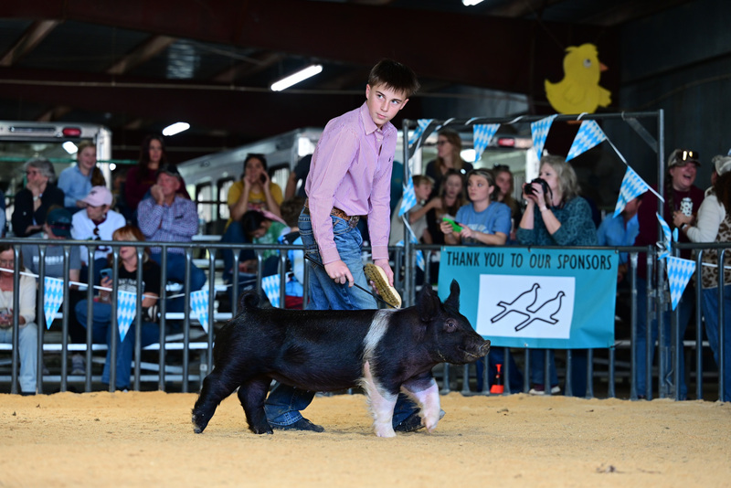 25GTT- RingAHamps-5135.jpg