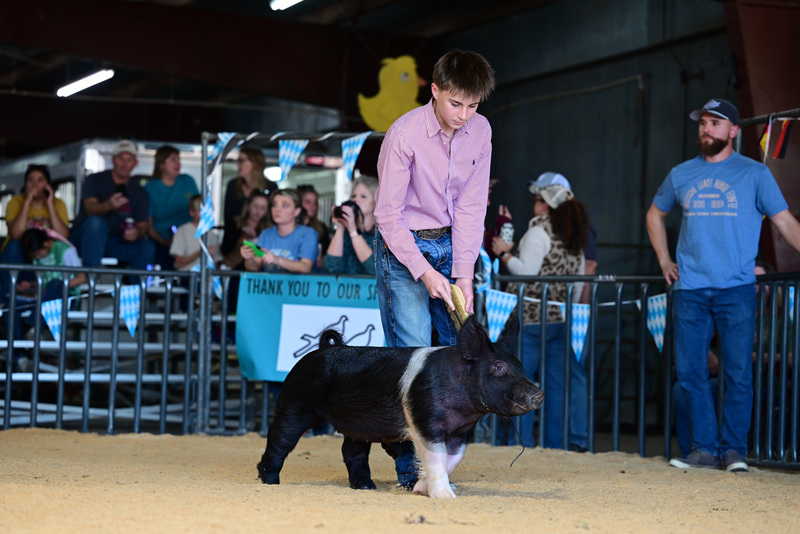 25GTT- RingAHamps-5137.jpg