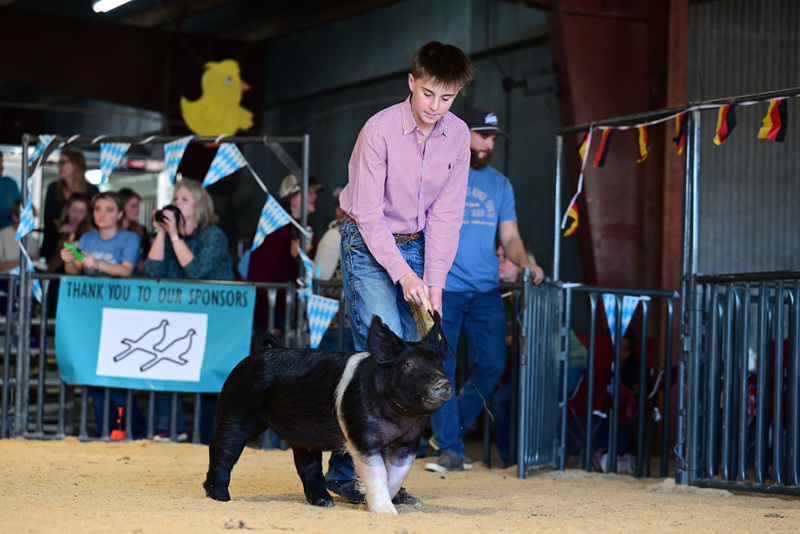 25GTT- RingAHamps-5138.jpg