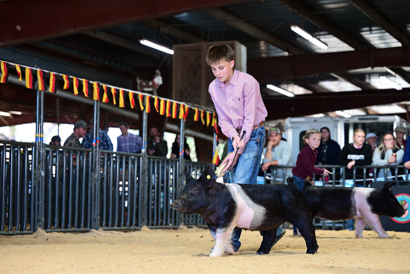 25GTT- RingAHamps-5142.jpg