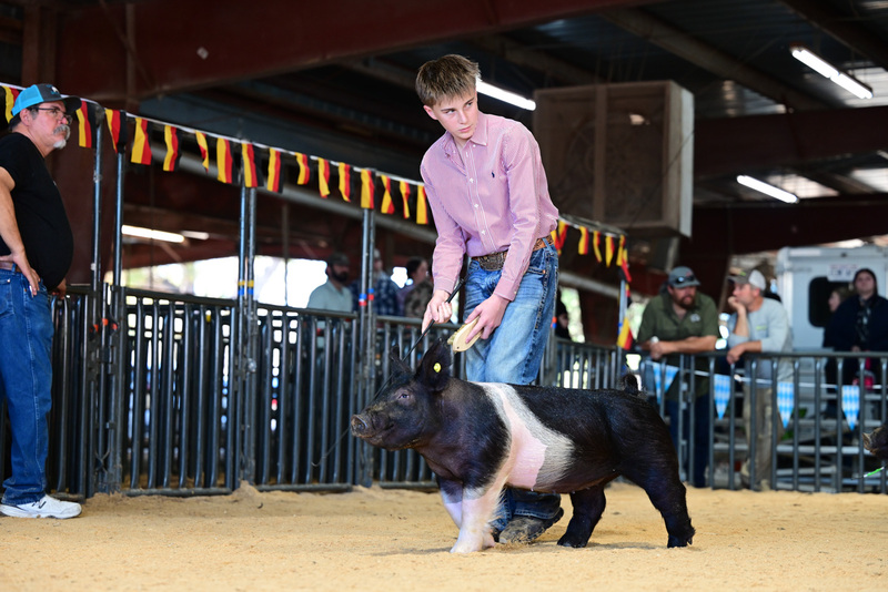 25GTT- RingAHamps-5143.jpg