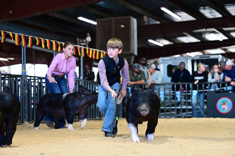 25GTT- RingAHamps-5145.jpg