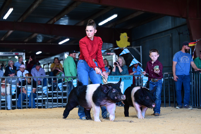 25GTT- RingAHamps-5147.jpg