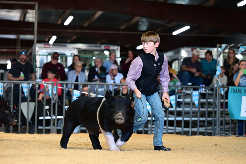 25GTT- RingAHamps-5150.jpg