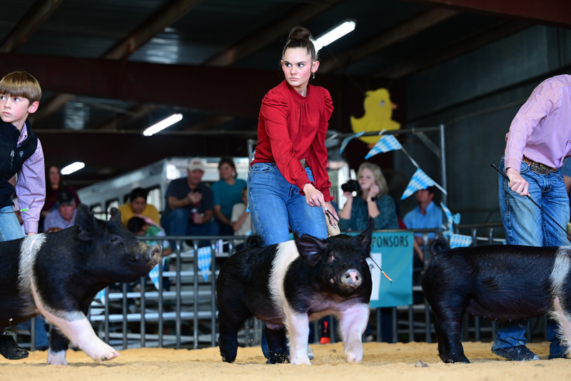 25GTT- RingAHamps-5151.jpg