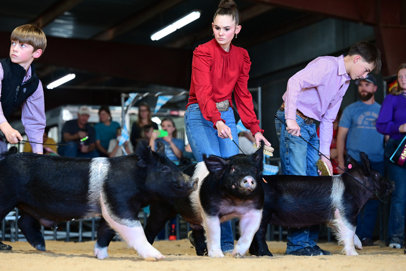 25GTT- RingAHamps-5152.jpg