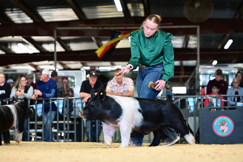 25GTT- RingAHamps-5159.jpg