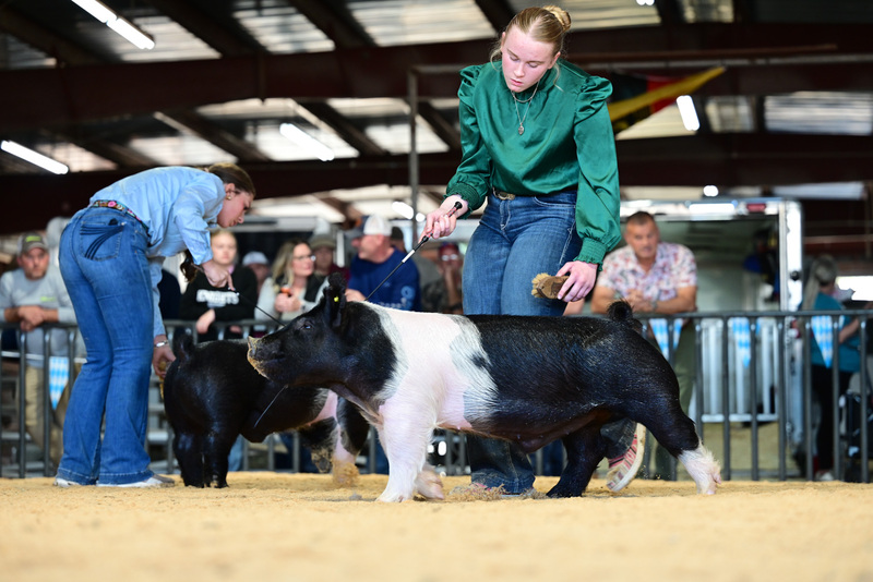 25GTT- RingAHamps-5160.jpg