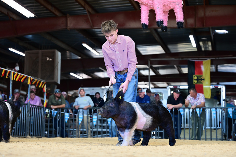 25GTT- RingAHamps-5162.jpg