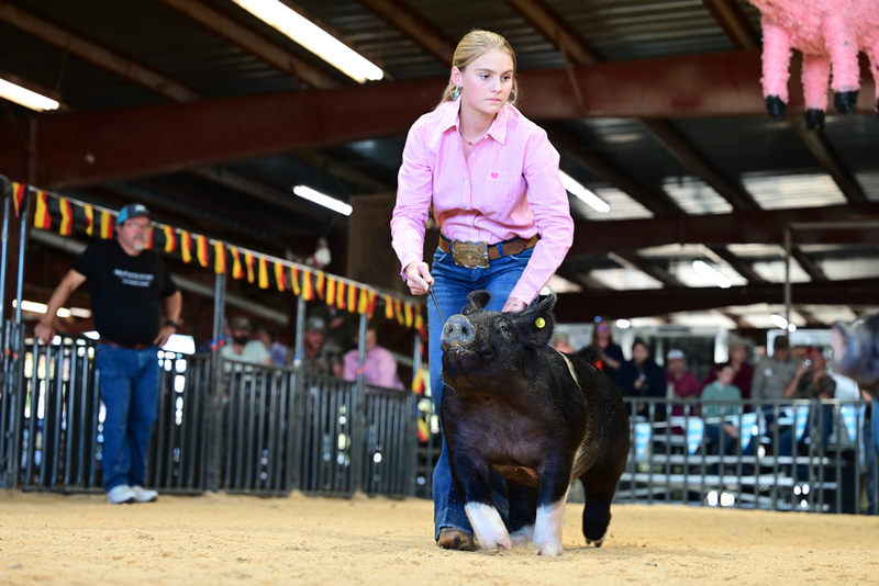 25GTT- RingAHamps-5167.jpg