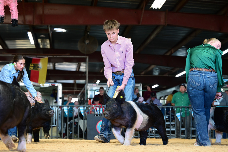 25GTT- RingAHamps-5169.jpg