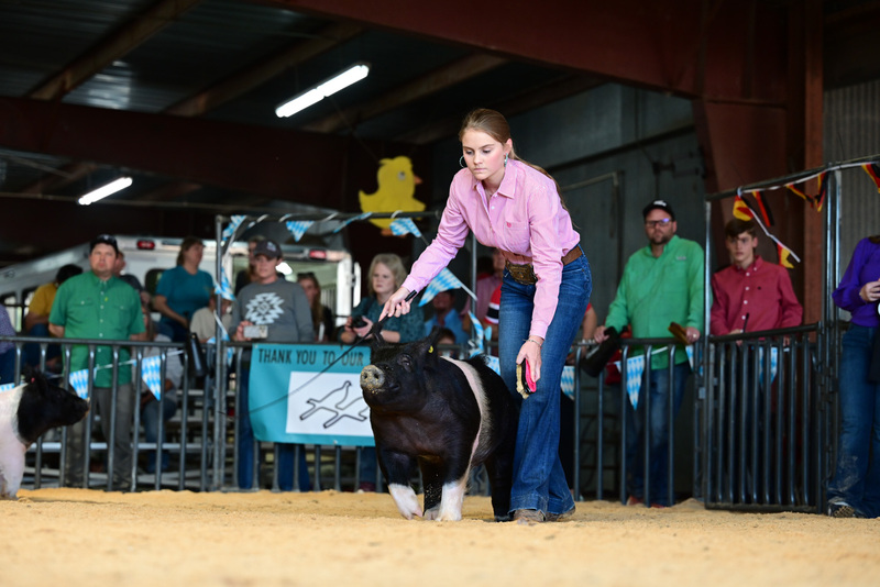 25GTT- RingAHamps-5172.jpg