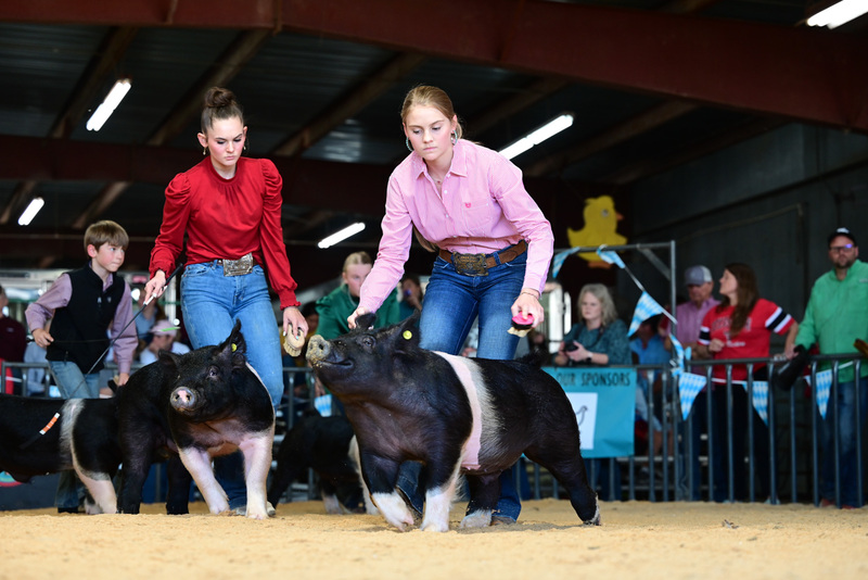 25GTT- RingAHamps-5174.jpg