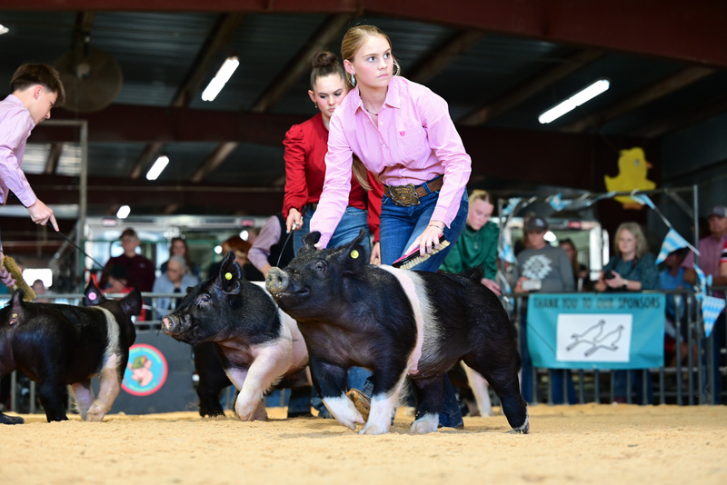 25GTT- RingAHamps-5175.jpg