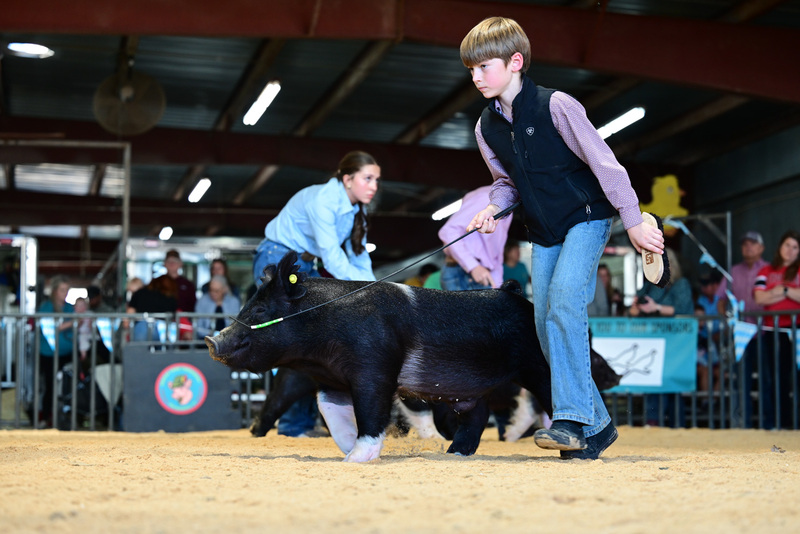 25GTT- RingAHamps-5176.jpg