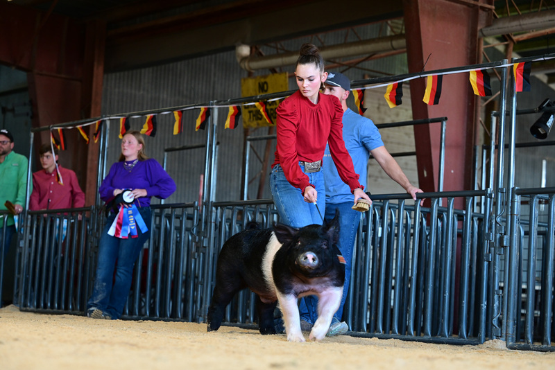 25GTT- RingAHamps-5178.jpg