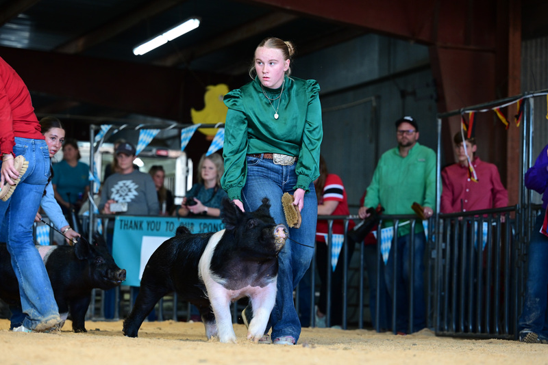 25GTT- RingAHamps-5179.jpg