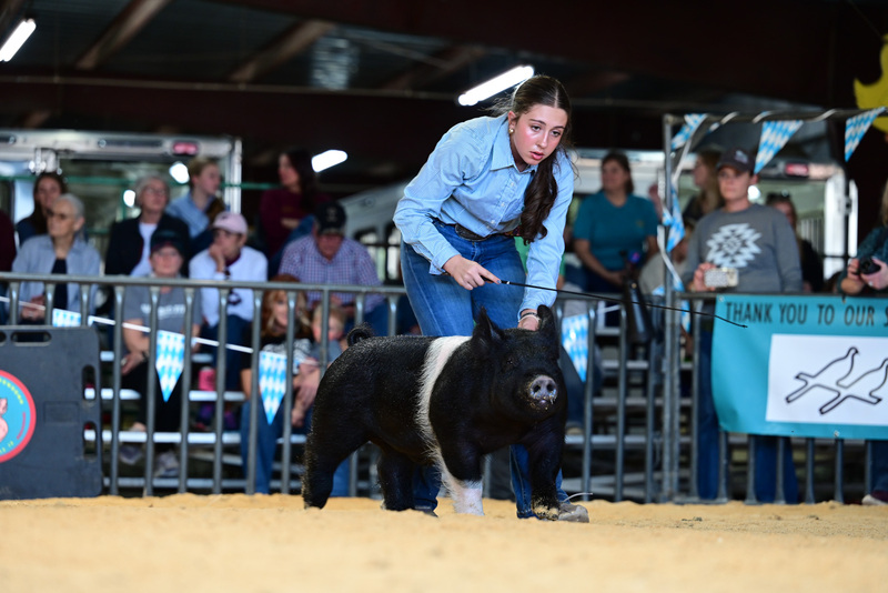 25GTT- RingAHamps-5180.jpg