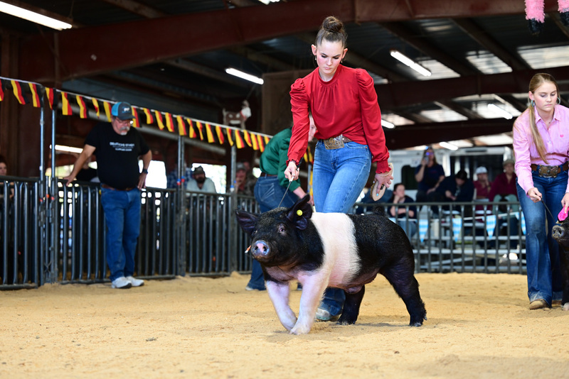 25GTT- RingAHamps-5186.jpg