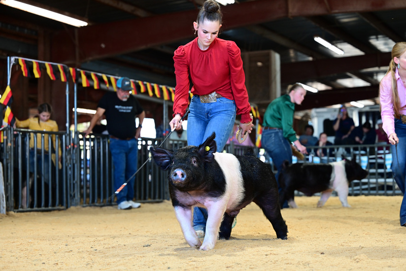 25GTT- RingAHamps-5187.jpg