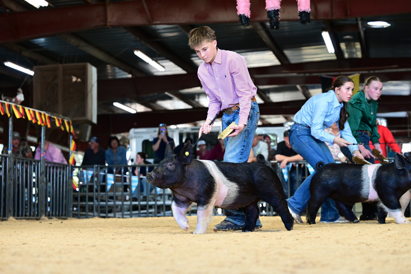 25GTT- RingAHamps-5192.jpg