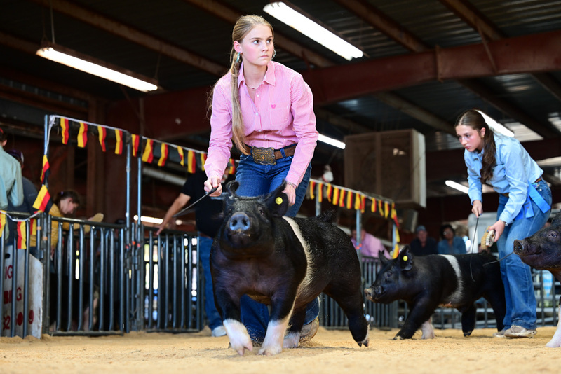 25GTT- RingAHamps-5198.jpg